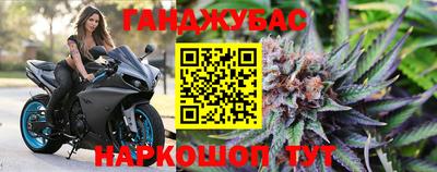 гидра Дубна