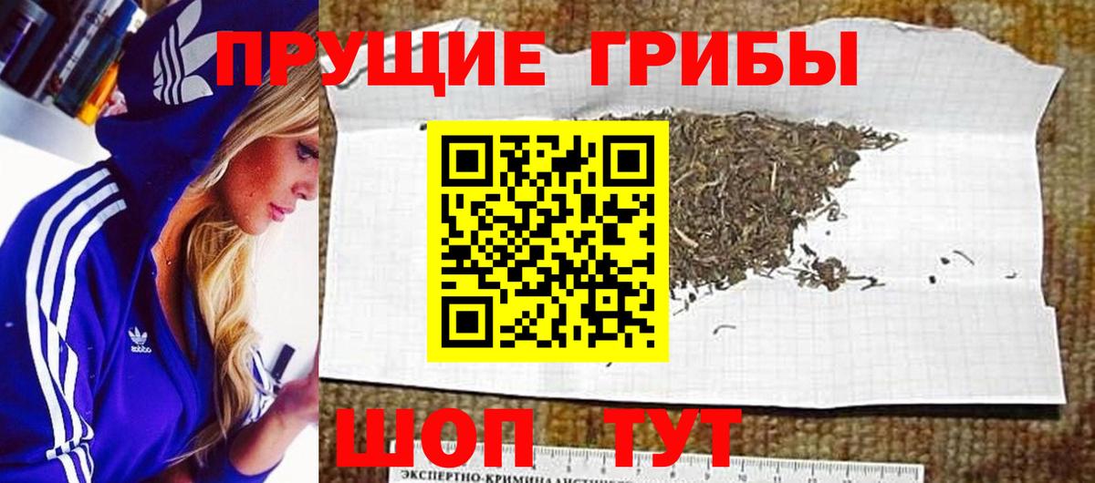 Псилоцибиновые грибы ЛСД Сарапул
