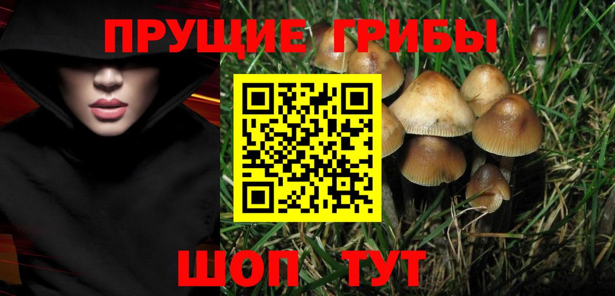 Гашиш  Вход с VPN  МЕТАДОН  ЭКСТАЗИ  COCAIN  ГАШ  МЕФ кристаллы  Сарапул  Каннабис 