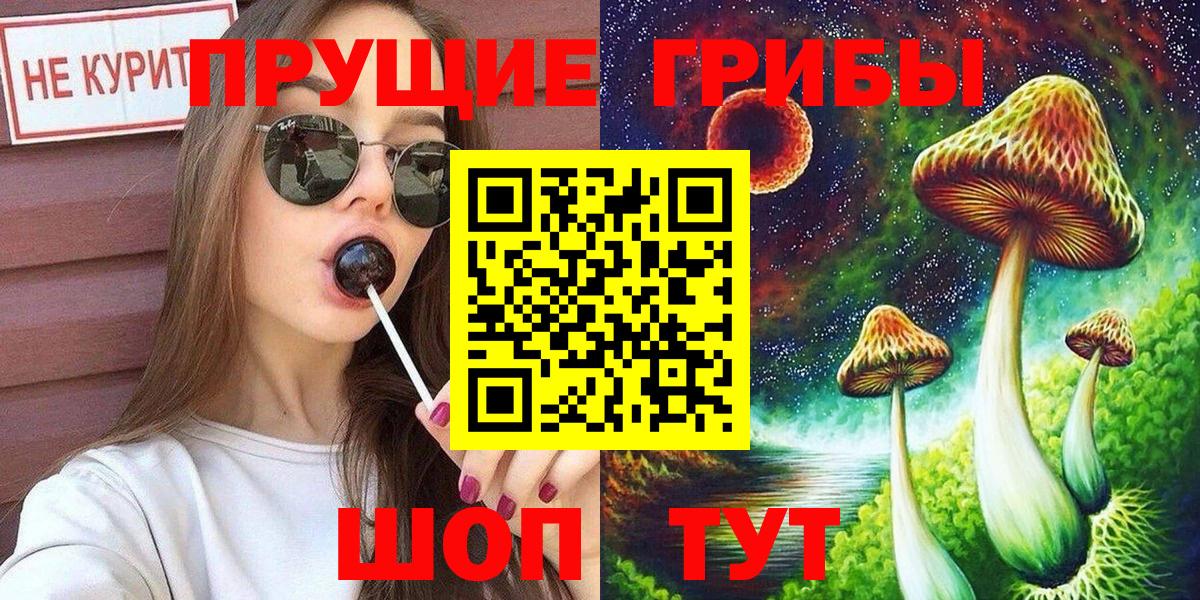 Псилоцибиновые грибы MAGIC MUSHROOMS  Вход с VPN  Псилоцибиновые грибы прущие грибы  Сарапул 